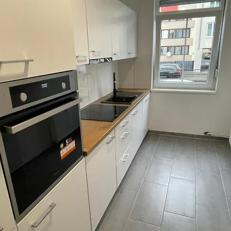 公寓 Timeless: Grosse Moderne 4 路德维希堡